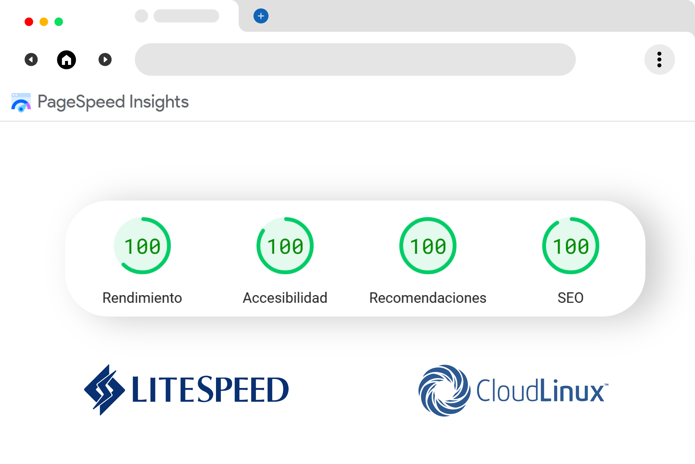 speedsite speedsite